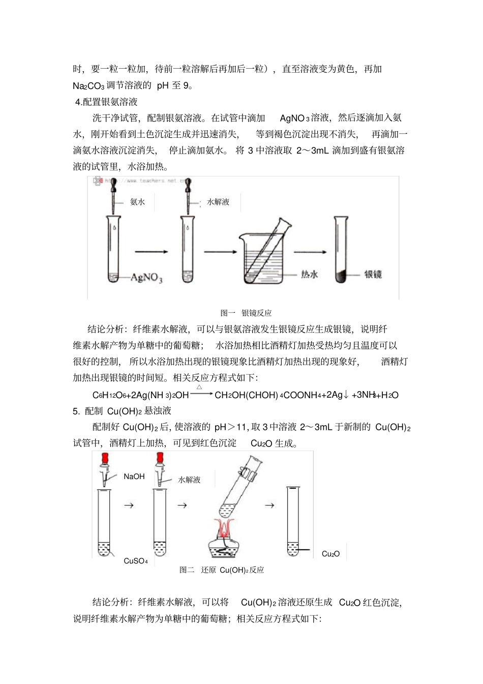 纤维素的水解试验报告_第2页