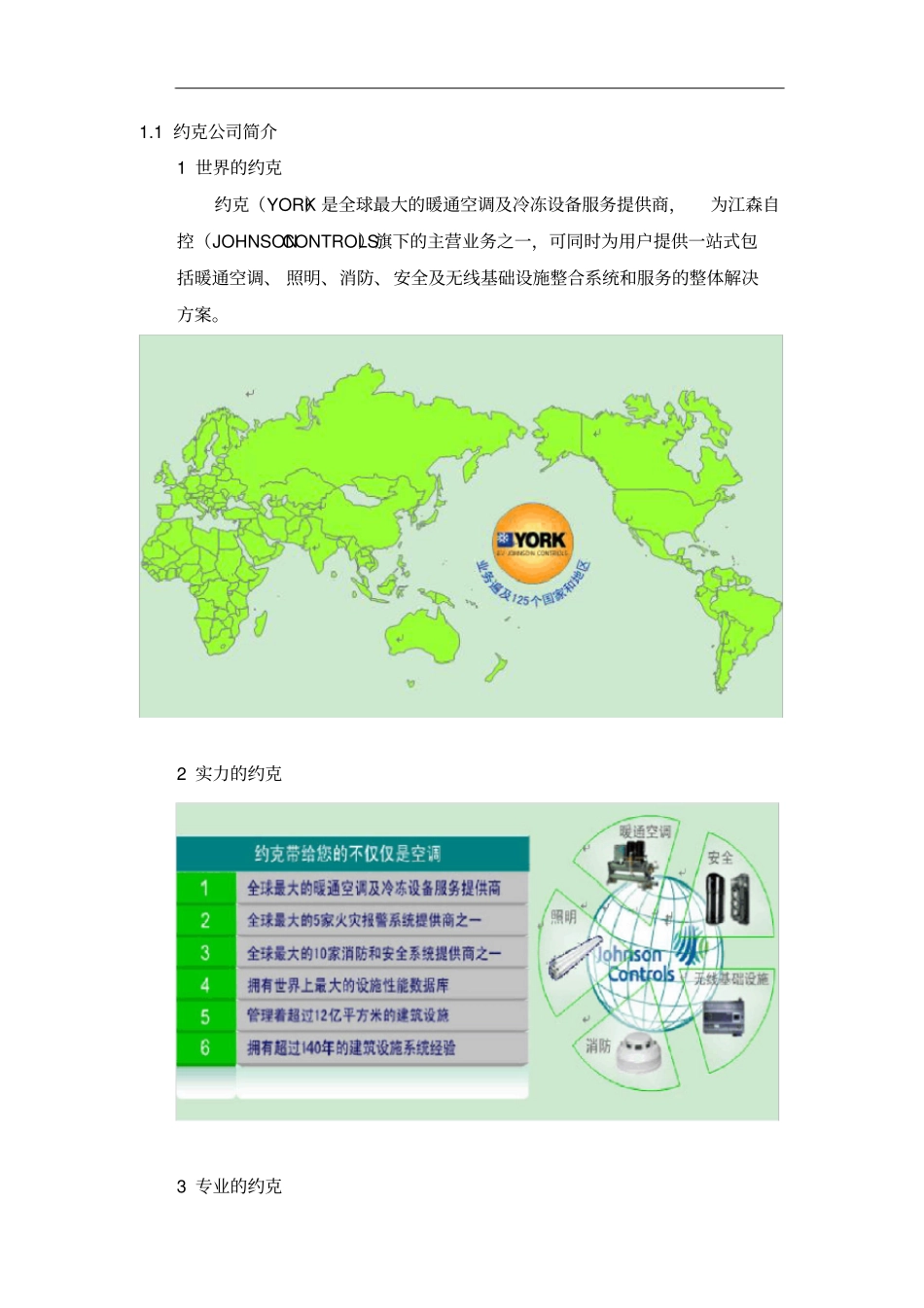 约克公司介绍_第1页
