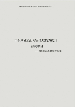 级商业银行综合管理能力提升咨询项目组织架构设置及职责调整方案