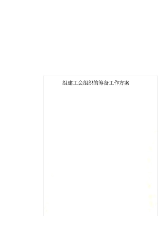 组建工会组织的筹备工作方案