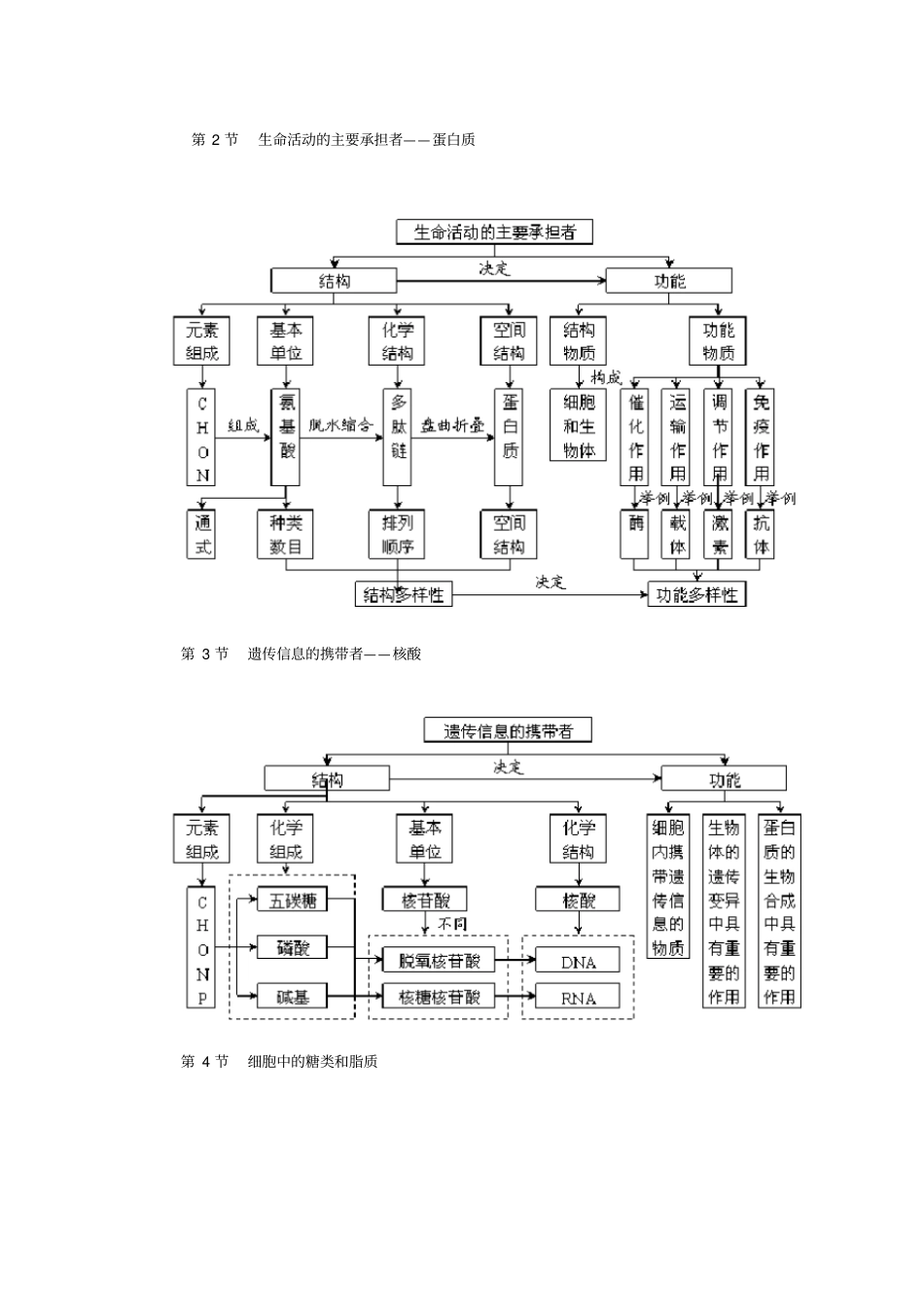 组成细胞的元素和化合物结构图_第2页