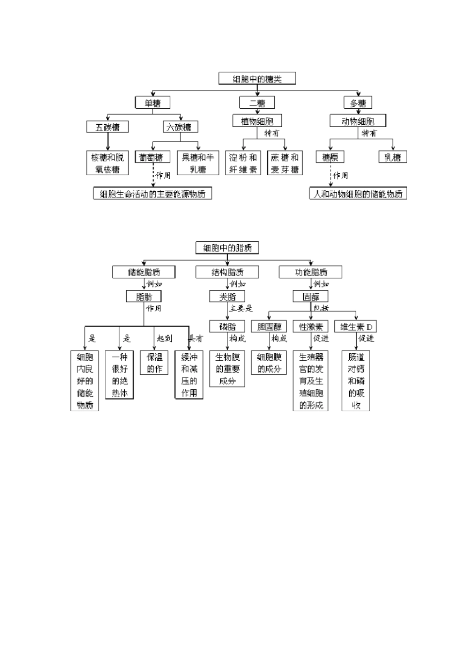 组成细胞的元素和化合物结构图_第3页