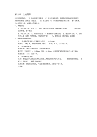 组织学与胚胎学-组胚复习笔记