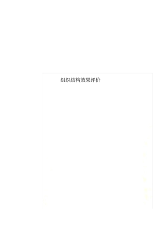 组织结构效果评价