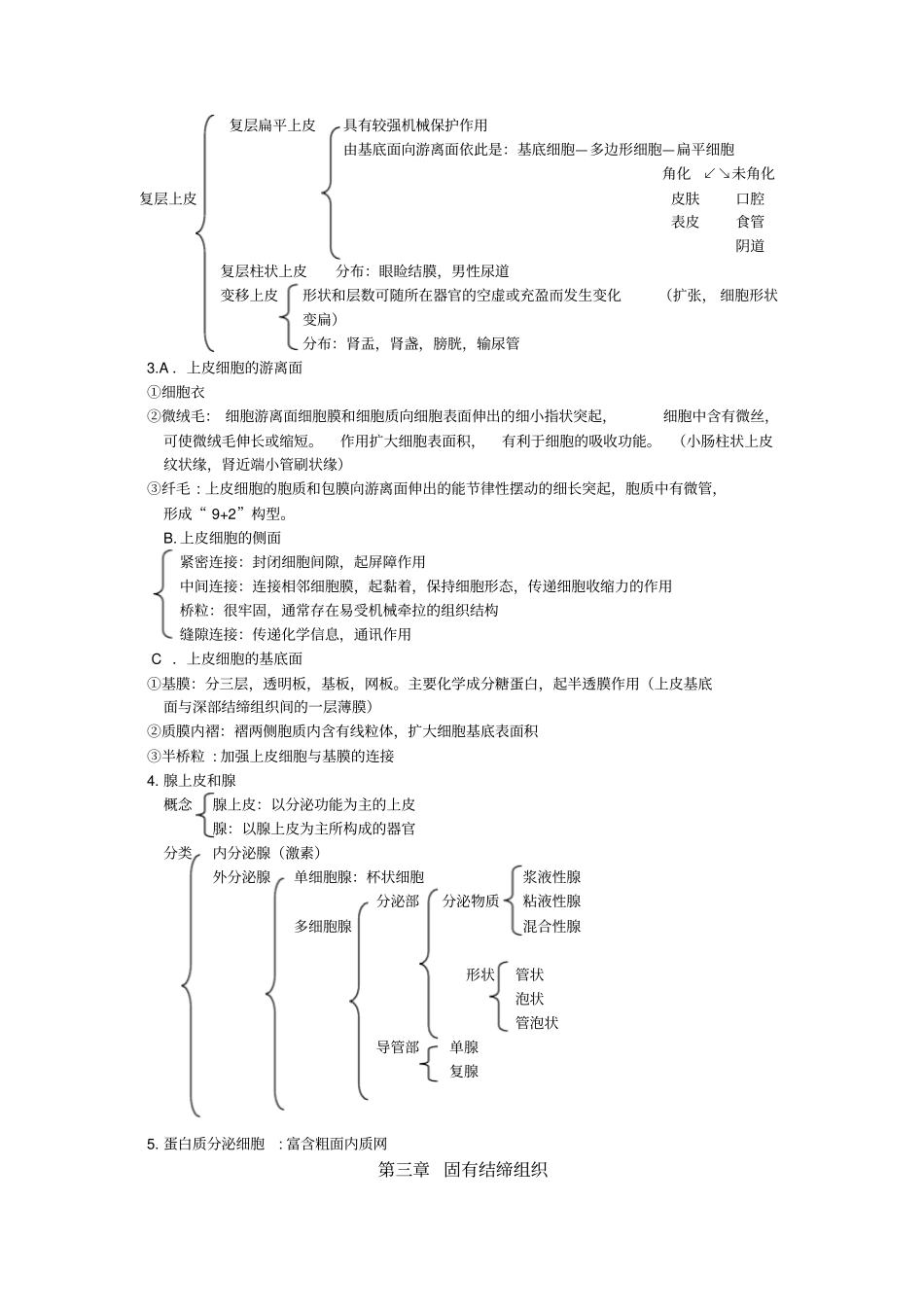 组织胚胎学重点整理_第2页