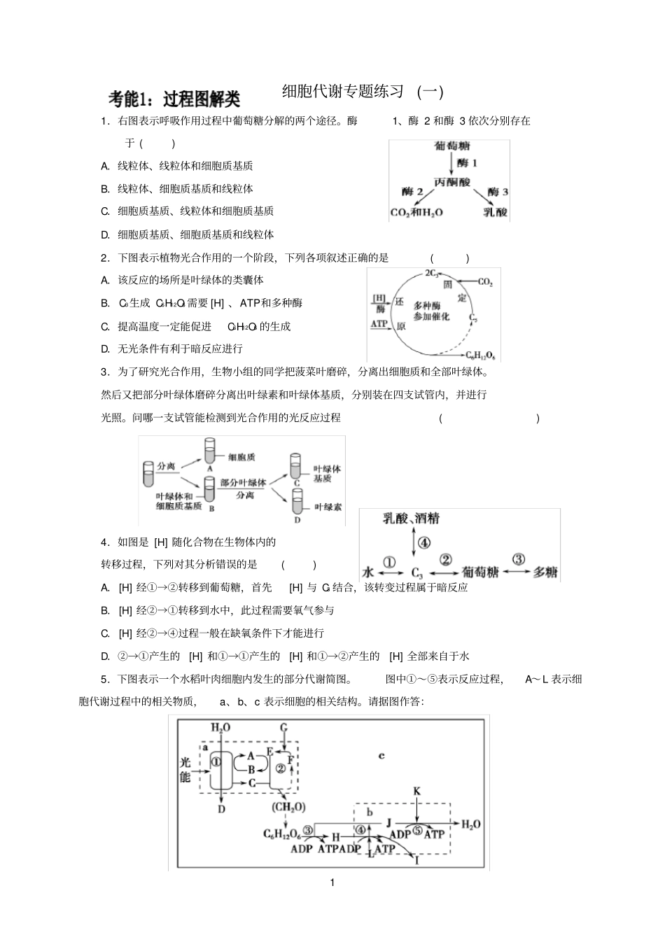 细胞代谢专题练习一_第1页