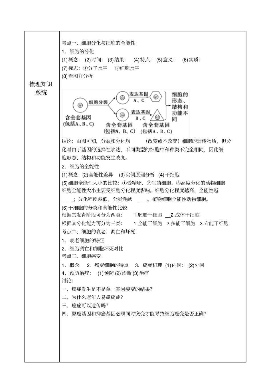 细胞分化衰老凋亡和癌变教师教学案_第2页
