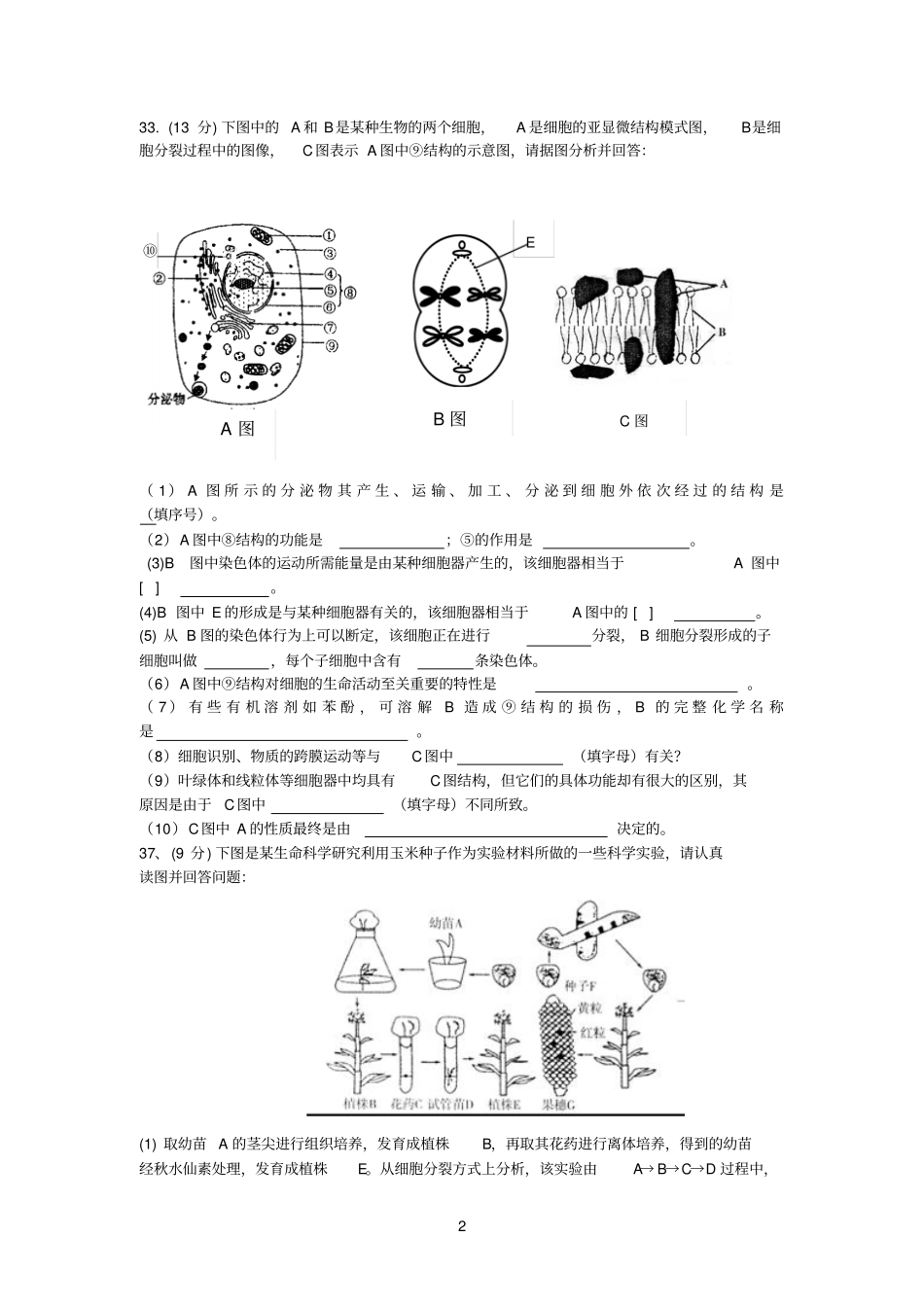 细胞分裂习题整理_第2页