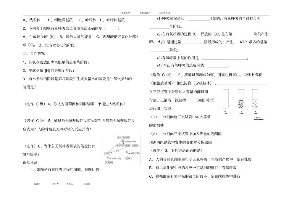细胞呼吸学案_第2页