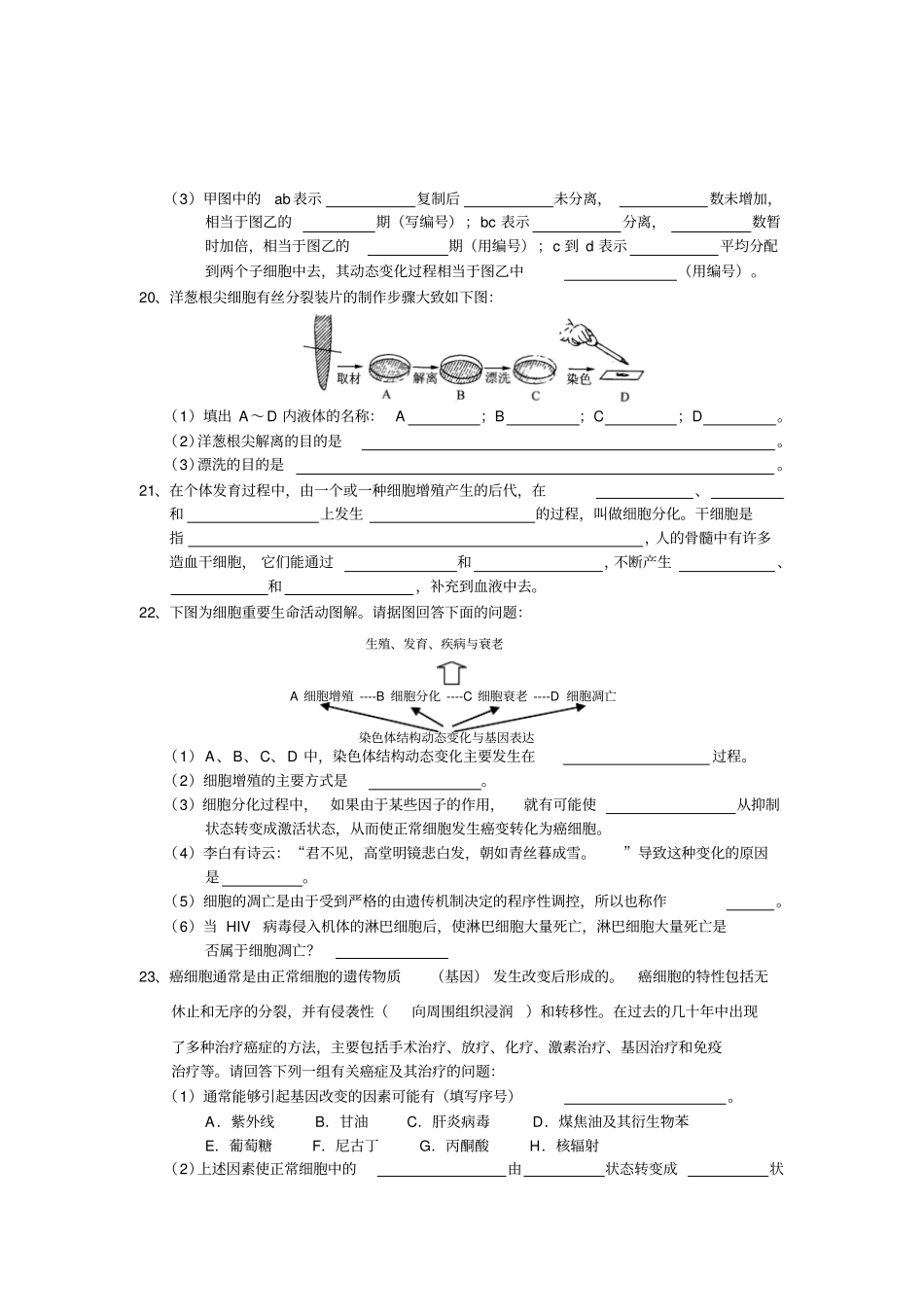 细胞的生命历程练习题及答案_第3页