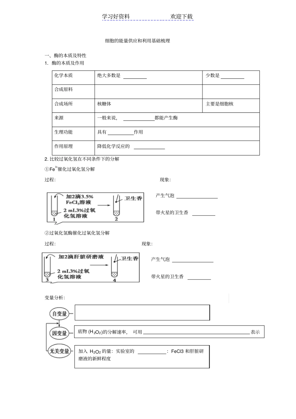 细胞的能量供应和利用知识梳理_第1页