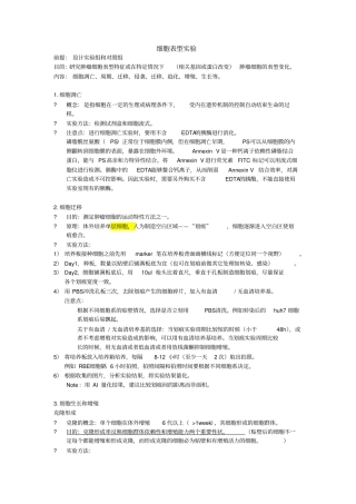 细胞表型试验