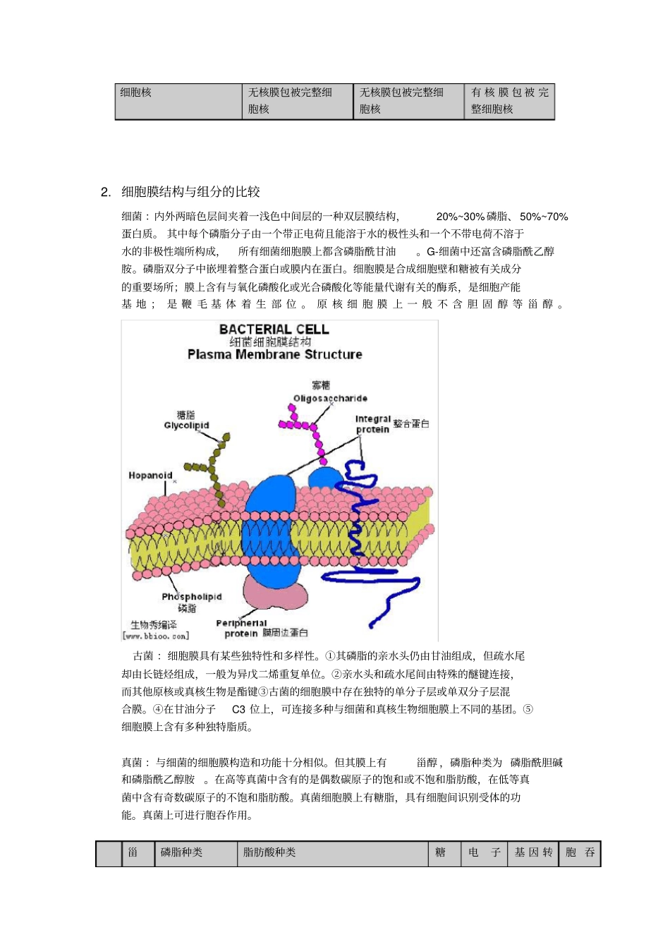细菌、古菌和真菌主霉菌、酵母菌的比较_第2页