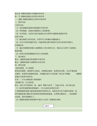 细菌和真菌在自然界中的作用