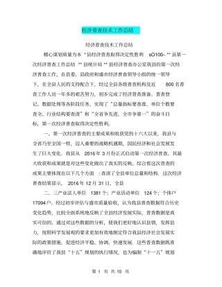经济普查技术工作总结【可编辑版】