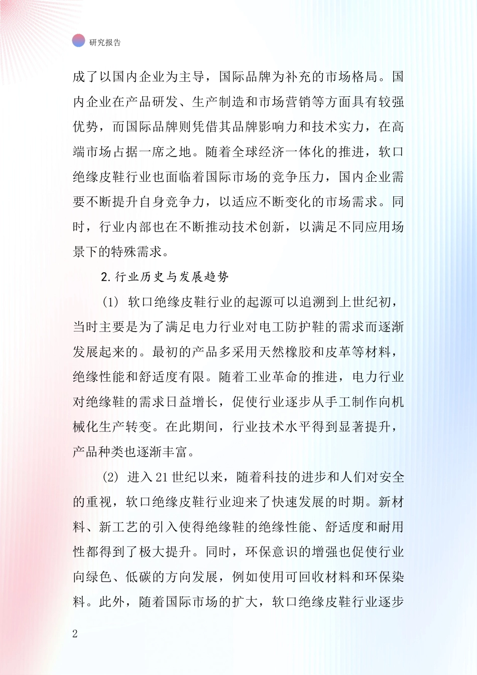 软口绝缘皮鞋行业深度研究报告_第2页