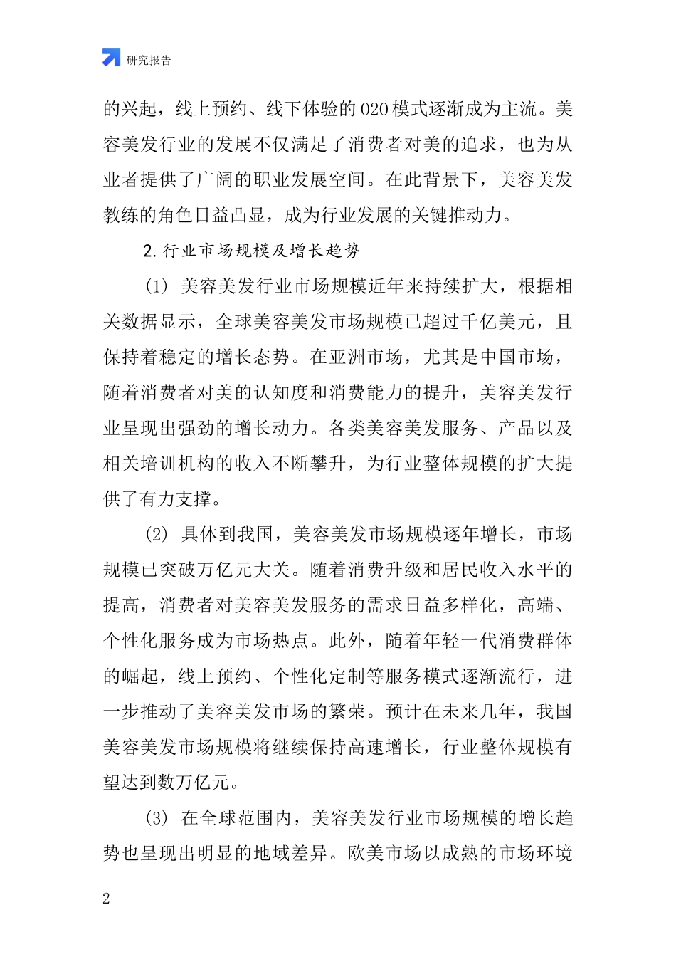 美容美发教练头行业深度研究报告_第2页