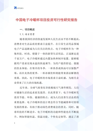 中国电子冷暖杯项目投资可行性研究报告