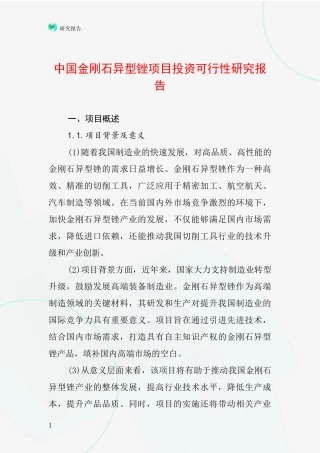 中国金刚石异型锉项目投资可行性研究报告