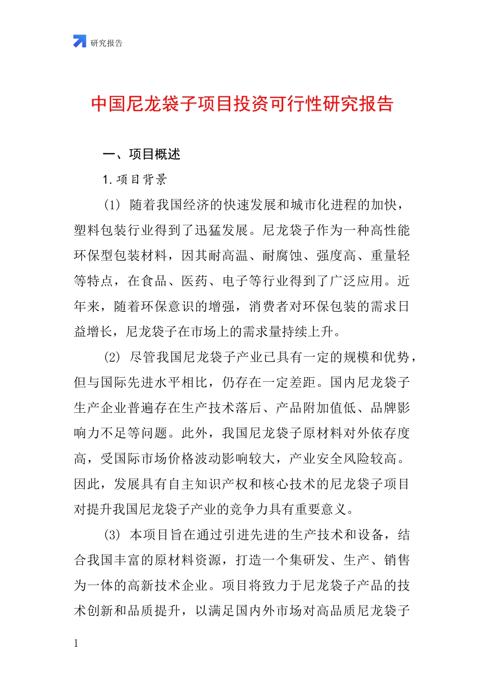 中国尼龙袋子项目投资可行性研究报告_第1页