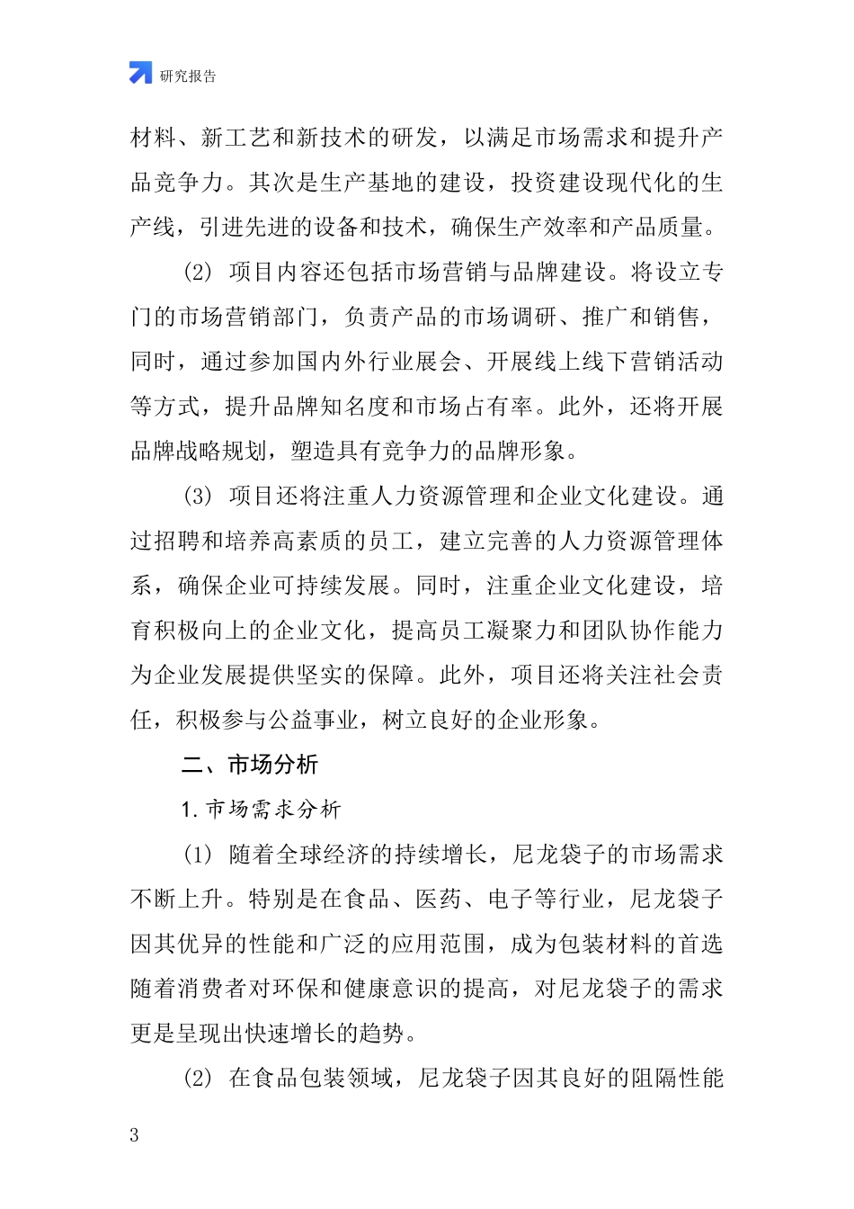 中国尼龙袋子项目投资可行性研究报告_第3页