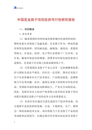 中国尼龙袋子项目投资可行性研究报告