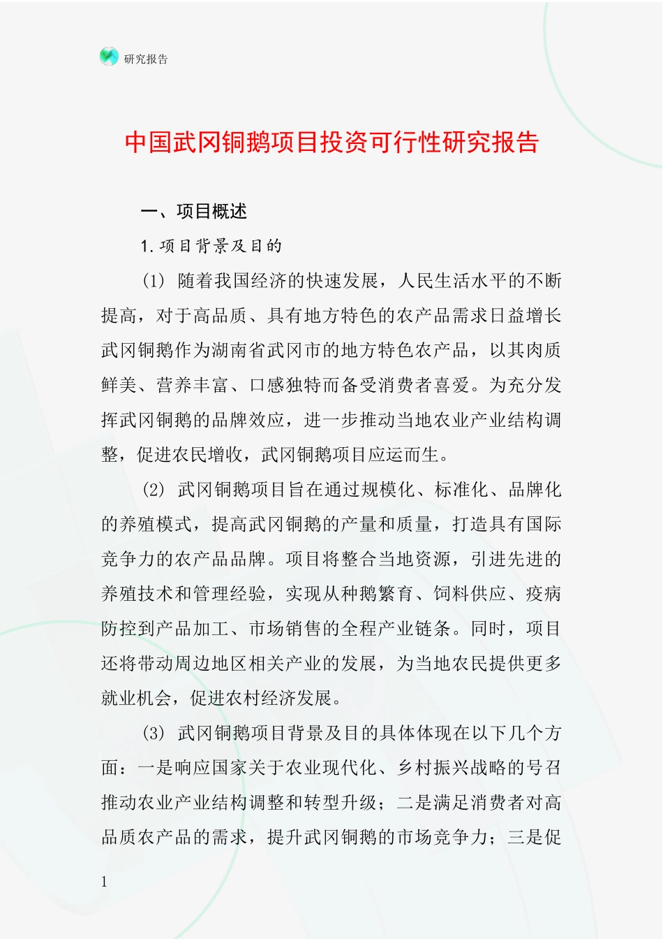 中国武冈铜鹅项目投资可行性研究报告_第1页