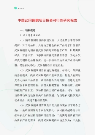 中国武冈铜鹅项目投资可行性研究报告