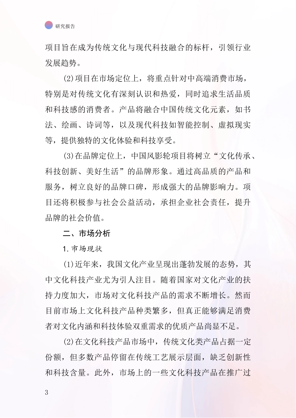 中国风影轮项目投资可行性研究报告_第3页
