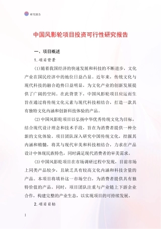 中国风影轮项目投资可行性研究报告