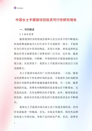 中国女士手提袋项目投资可行性研究报告