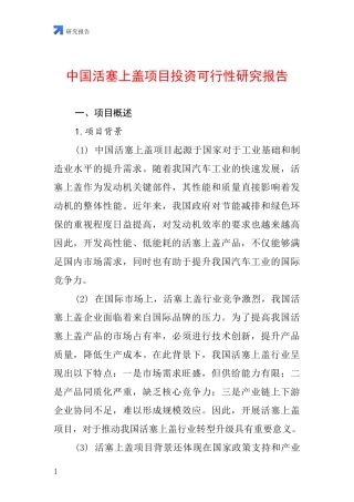 中国活塞上盖项目投资可行性研究报告