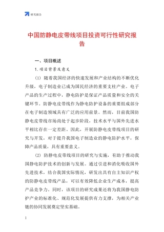中国防静电皮带线项目投资可行性研究报告
