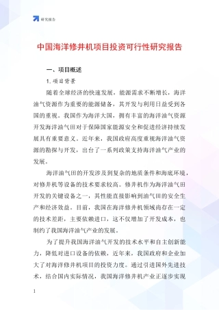 中国海洋修井机项目投资可行性研究报告