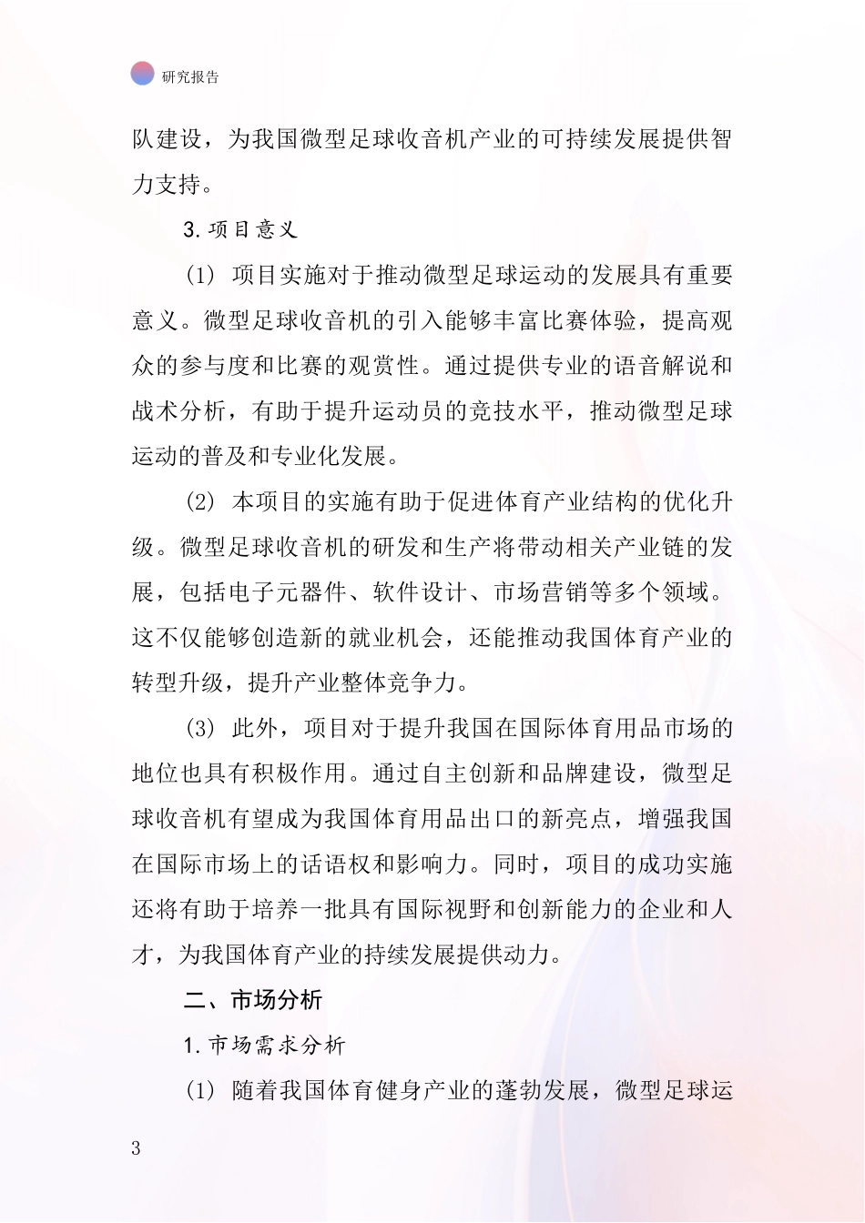 中国微型足球收音机项目投资可行性研究报告_第3页