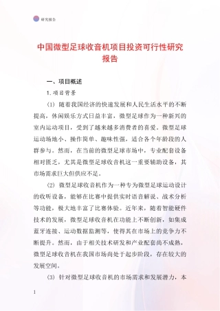 中国微型足球收音机项目投资可行性研究报告
