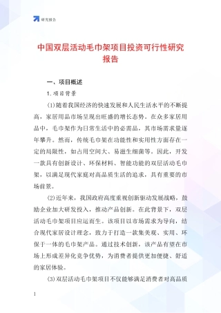 中国双层活动毛巾架项目投资可行性研究报告