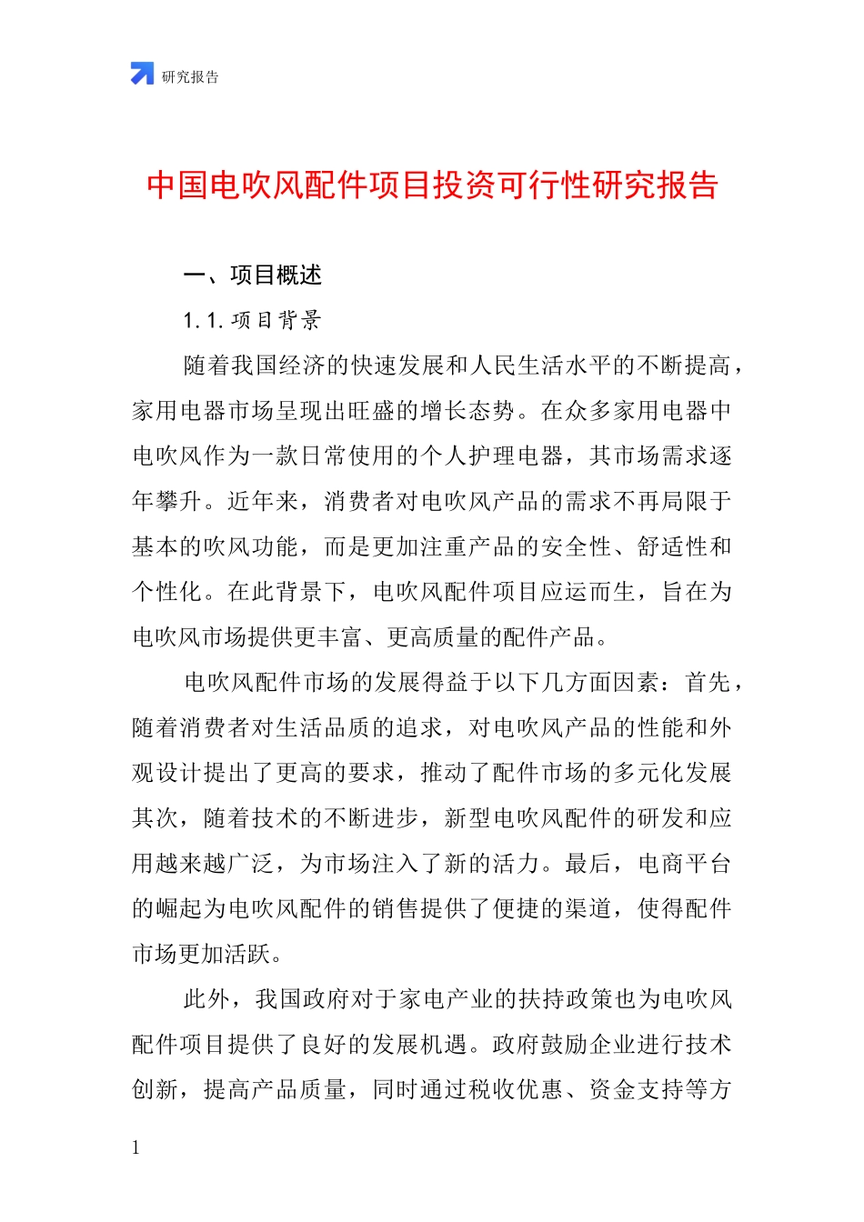 中国电吹风配件项目投资可行性研究报告_第1页