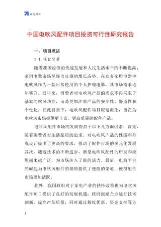 中国电吹风配件项目投资可行性研究报告