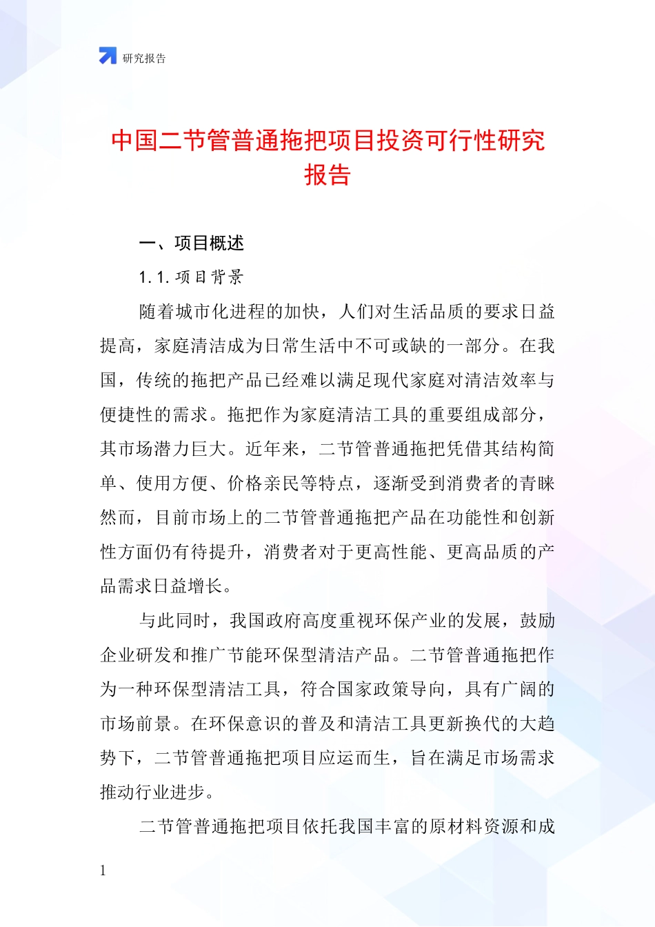 中国二节管普通拖把项目投资可行性研究报告_第1页