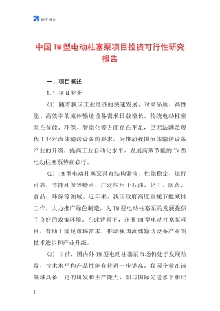 中国TM型电动柱塞泵项目投资可行性研究报告