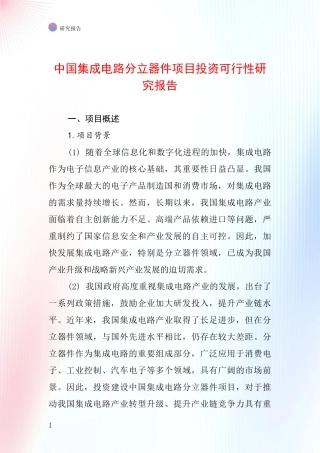 中国集成电路分立器件项目投资可行性研究报告