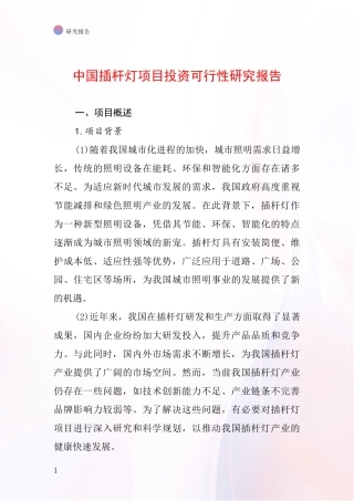 中国插杆灯项目投资可行性研究报告