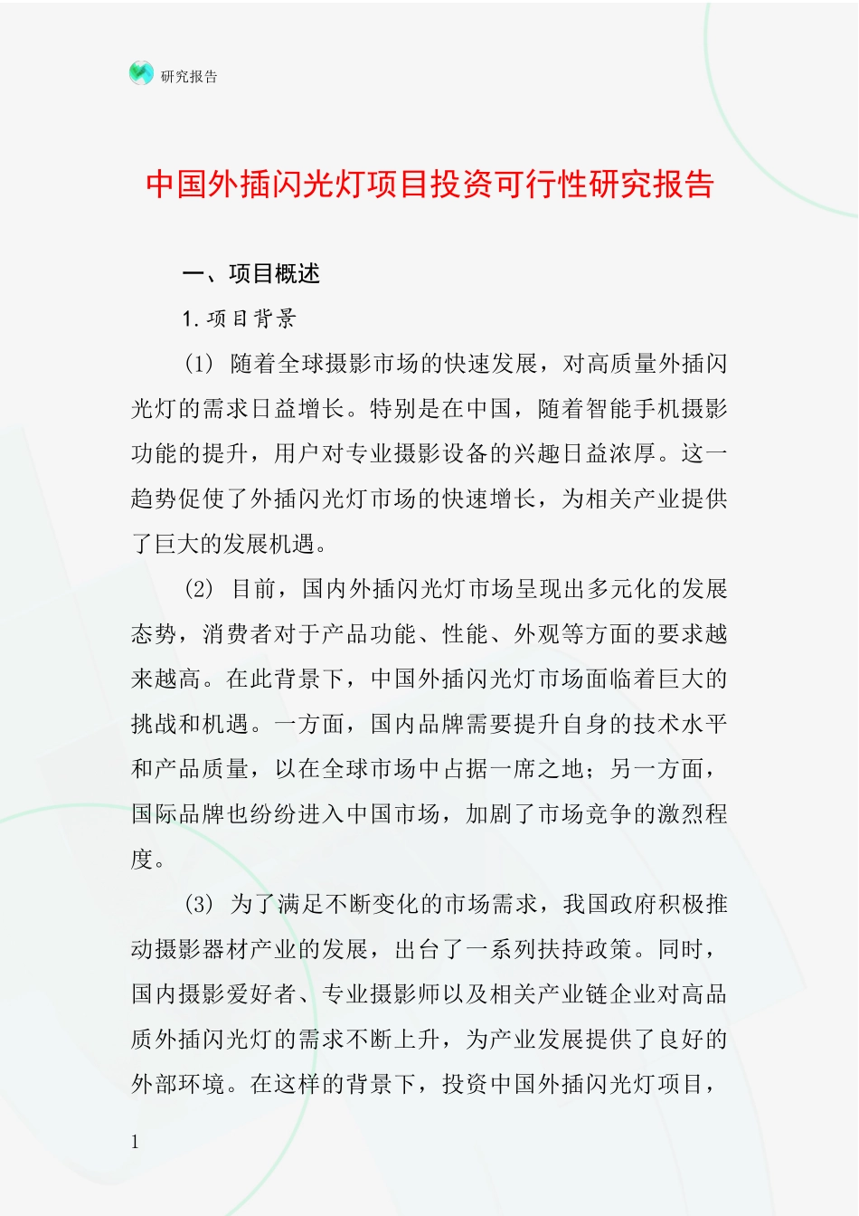 中国外插闪光灯项目投资可行性研究报告_第1页