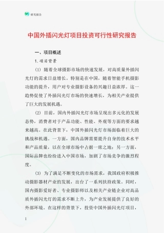中国外插闪光灯项目投资可行性研究报告