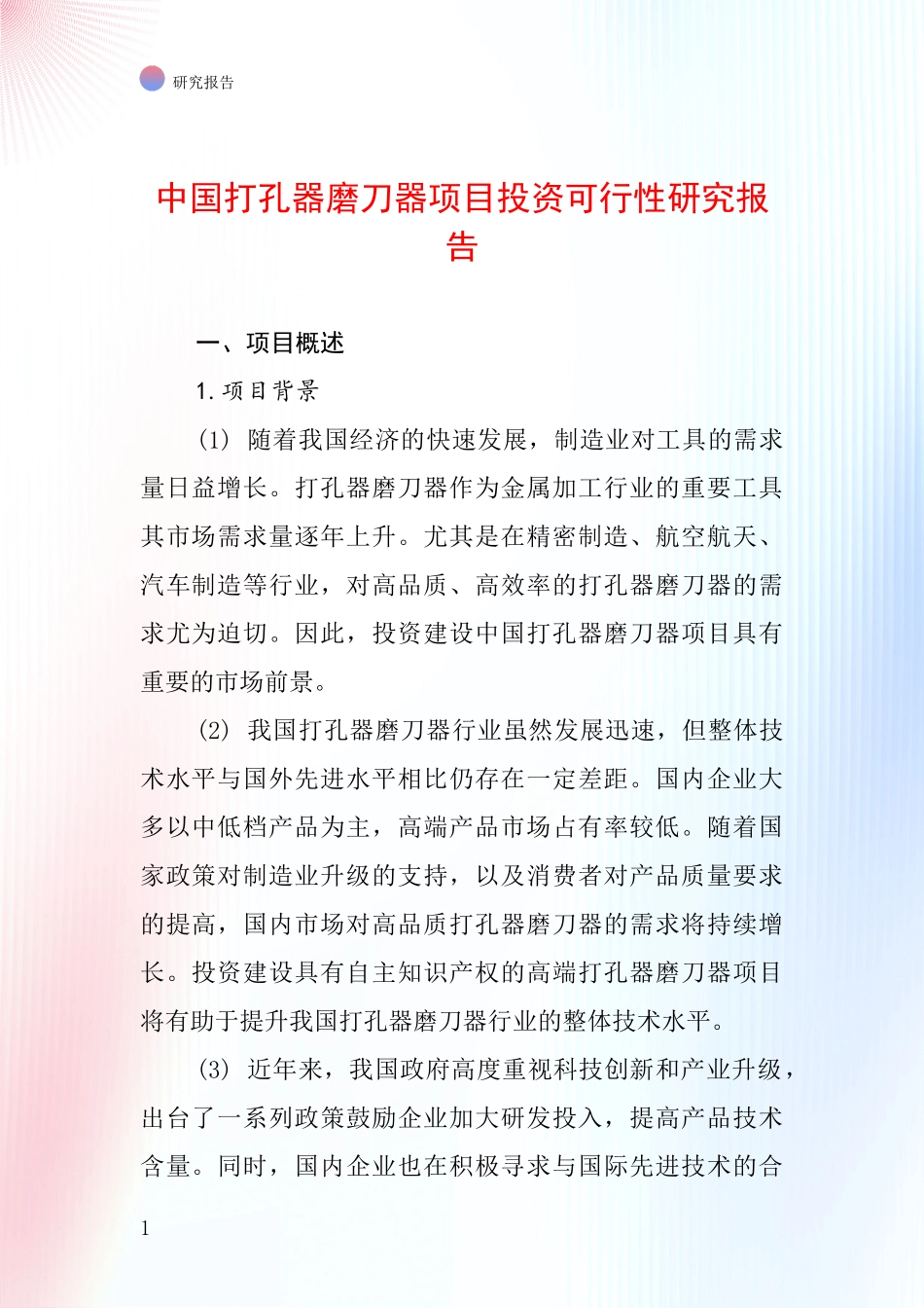 中国打孔器磨刀器项目投资可行性研究报告_第1页