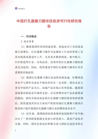 中国打孔器磨刀器项目投资可行性研究报告