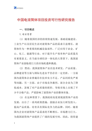 中国电滚筒体项目投资可行性研究报告