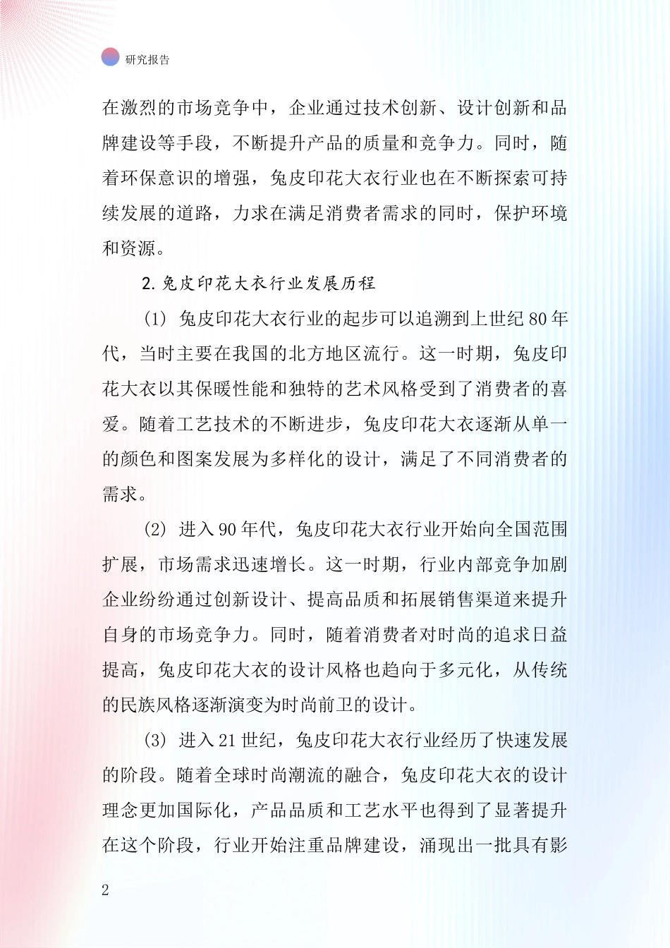 兔皮印花大衣行业深度研究报告_第2页