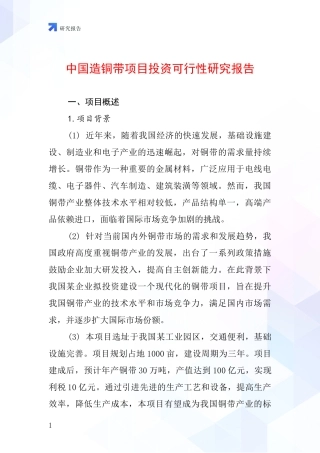 中国造铜带项目投资可行性研究报告